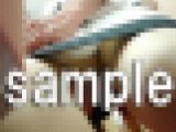 とある宴席でのコンパニオン
