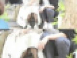 （ＦＨＤ）大変です！！彼氏に夢中になり、パンツが見えてますよ２０３