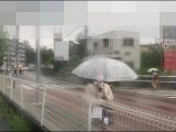原液Ｋ１　車内から張り込みで姿鳥　