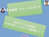 【新感覚！】ボイス＆チャット動画シリーズ　万引き少女　咲奈
