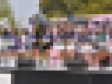 【一眼レフ撮影】【超高画質】社会人チア　XLイベント①-3【人気チア】【美女チア】