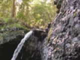test 1