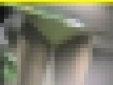 4256／「蒐集撮り・チアーでいこう（69）」