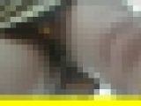 3269／「探り撮り・キャンちゃんがくれた秘境大冒険（５）」
