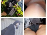OLに就活中のリクルートスーツJD！頑張る女性の逆さめくり動画5本セット！