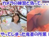 一撃目！桜の妖精のいたずらとお姉さんの純白レースパンティ。