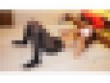 超セクシー?コスプレ大好き?綺麗なお姉さん⑦（パンツ+黒タイツ）１００枚