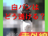 大人の自由研究_白ピタパンをスケスケカメラで見るとどうなるか_赤外線スケスケ029(透視_透けパンツ_ピタパン_パンティーライン