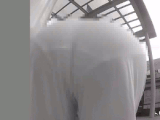 スケスケ・ザ・ワールド9