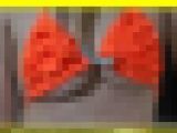 4692／「偽装撮り・キャンちゃん私家盤コレクション（25）」