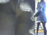 パンチラ盗撮 OLさん 白パンツが黒パンストに透けて
