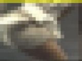 2390／「蒐集撮り・テニスでいこう（24）」