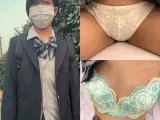 【交渉痴漢③】【大泉桜〇等学校】校内不純異性交遊 なつき度ゼロの女子〇生と育むアオハル記録【6日分】