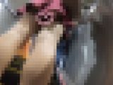 たいわんぱんちら242