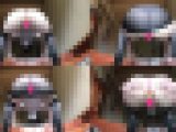 スケ×③ベ?OLさん??玉ッ！？玄関開けて公開?巨尻??ケツ穴見せつけ?