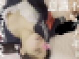【睡/姦】女子●生《肉オナホ》パイパンまんこに生中出しした胸クソカテキョ
