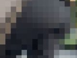 【通スピ＆スロー】でか！トラックパンツな着衣お尻様に密着！