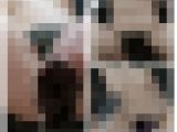 【素人自撮り】私、変態なんです
