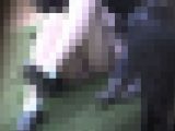 グリーンパークへようこそ153　あの頃も今も結局女子の隙間を見たい