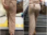 【再販商品です】   No.483「感触なさそうな柔らかそうな尻肉モデル3選」