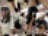 【再販】《めくり盗撮2本SET》超美少女に危険な前からめくり＆ロリ女子のぷり尻めくって丸出し＝鬼畜スカートめくり2セット