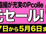 Pcolle　旧作半額セール