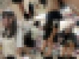【再販】《めくり盗撮2本SET》超美少女に危険な前からめくり＆ロリ女子のぷり尻めくって丸出し＝鬼畜スカートめくり2セット