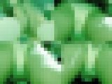 【再販】【痴かん2人セット】未開発両穴大洪水禁断痴かん特別限定長編版 2＆4
