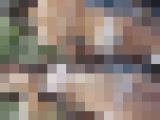 超高画質FHD動画 露出レイヤー大集合！コスプレというよりほとんどアダルト撮影会NO-6 生パンツ丸出しレイヤー編