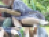 公園パンチラ１４　気になるパンティーの食い込みをカレシの横でこっそりお直し?