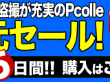 Pcolle　50%　ポイント還元セール！