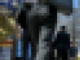 【321】春の光に映える白シャツインのパンツスーツOLさん！