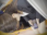 [電車胸チラ]そんな胸パカ状態でお仕事してたの？リクスーOLちゃんの美巨乳おっぱいに大接近。