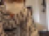 【再販】【くすぐり,人妻,スク水】夫婦の絆を深めるくすぐりモーニング！水着姿の妻に、夫がくすぐられまくる!?