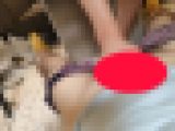 【再販】さなちゃんのアップでキーボードちんこペダル　パンツと生ちんこ編