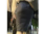 【369】スーツOL特集2024秋その③
