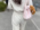 【再販】《４K・高画質》 No.1148「セレブJD、超柔らかそうに尻肉を揺らしYOGAへ向かう」