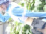 超速報！超高画質FHD動画 世界コスプレカーニバル2025NO-8 エロカワレイヤー編