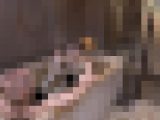 【再販】【露天風呂】不倫妻と露天風呂で濃厚セックス