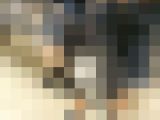 【再販】おとなしそうな優等生っぽい青ちぇちゃんを逆さ撮り