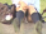 【再販】黒髪清楚系 J○2人組 パンチラ