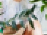 お得な２本セット！カッフェでお茶しばくおねえさんとママ系ＯＬさんのパンティ