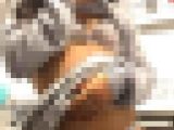 【剛毛フェチ必見】白スケTバックから黒々剛毛がモロ透け！