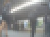 ★Dogeyes★完全オリジナル173 ハイヒールとストッキング、大人のタイトミニワンピーのピタスト