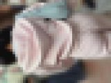 【再販】Ｐライン全開のピンク色のセットアップジャージを着たギャル(/ω＼)